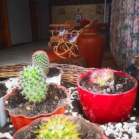 El Sabinar Ferienhaus *