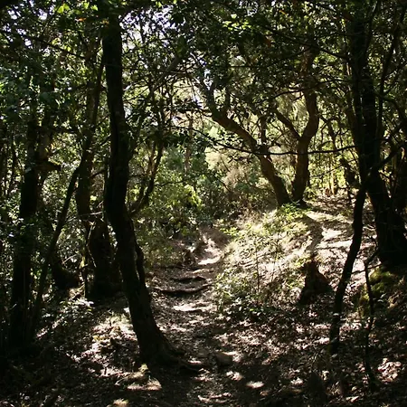 Ferienhaus El Sabinar *