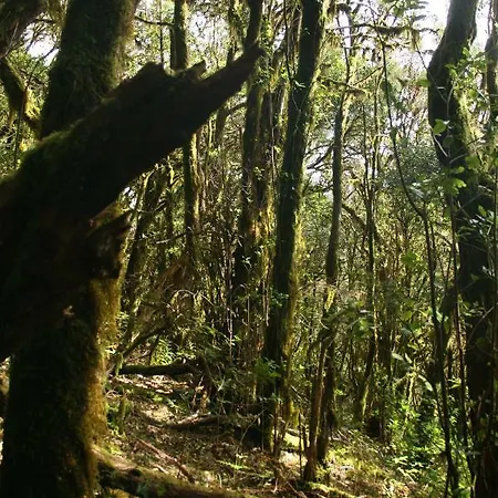 El Sabinar Дом отдыха