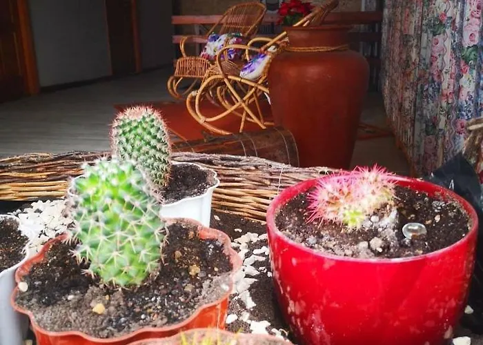 El Sabinar Сasa de vacaciones *